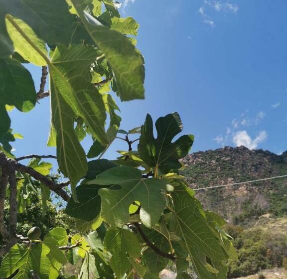 B&b Bentos Pula Di Lucarelli S