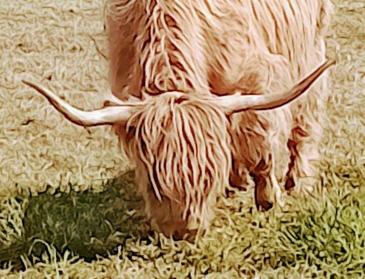 Heb Way Bed And Breakfast