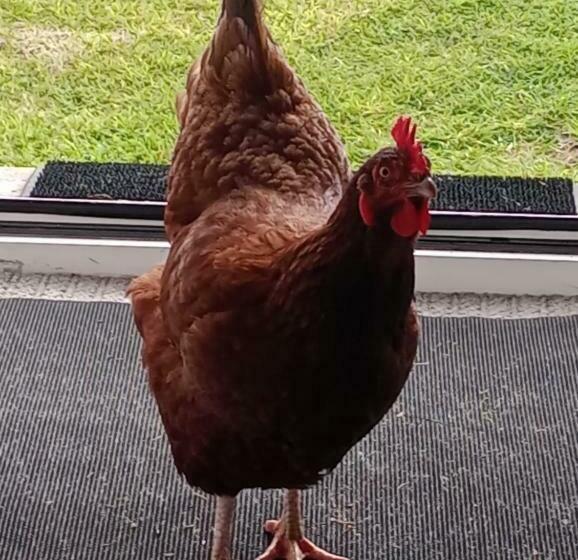 Heb Way Bed And Breakfast