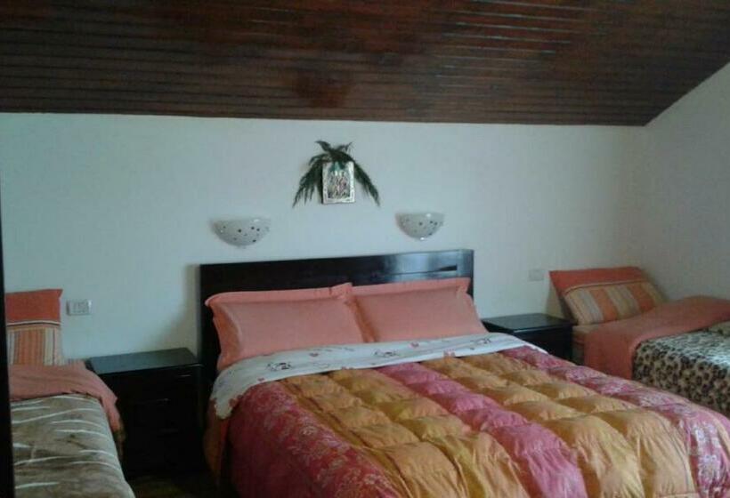 בית מלון כפרי Casuta Magica