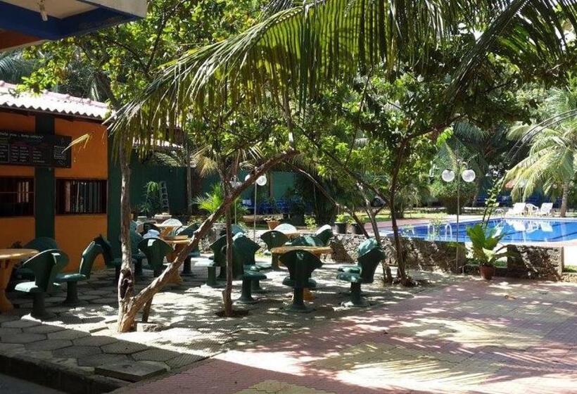 Отель Grand Camellia