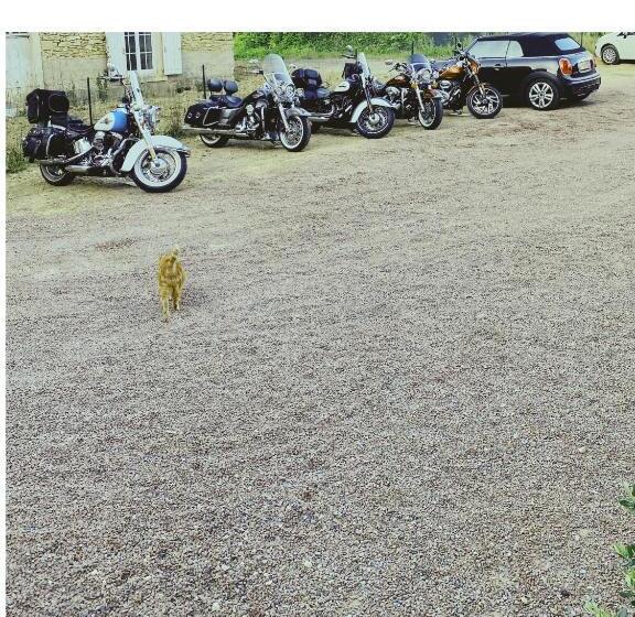 בית מלון כפרי Hôtel Déco Lia Soirée étape