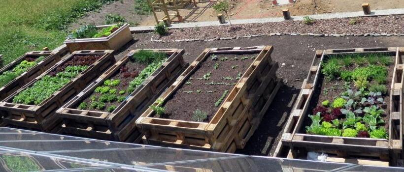 فندق Lesacherhof