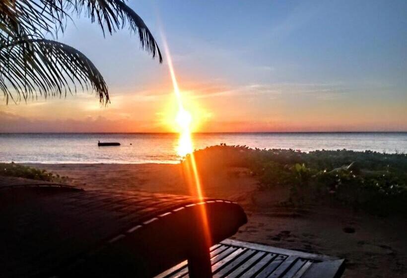 בית מלון כפרי Little Corn Island Beach And Bungalow