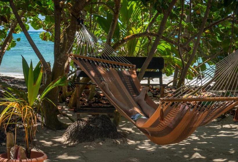 בית מלון כפרי Little Corn Island Beach And Bungalow