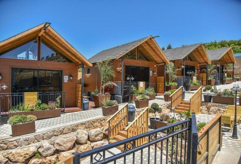 ホテル Mitzpe Hermon Tzimmers