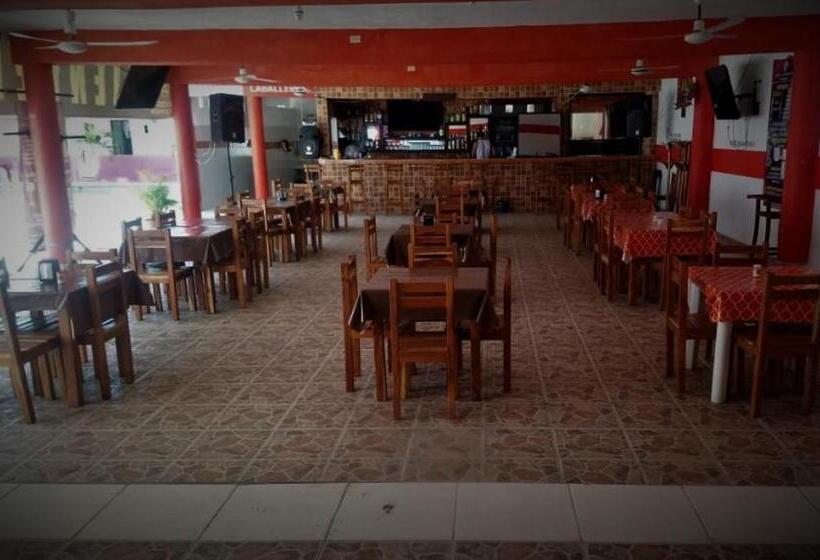 فندق D´concepción