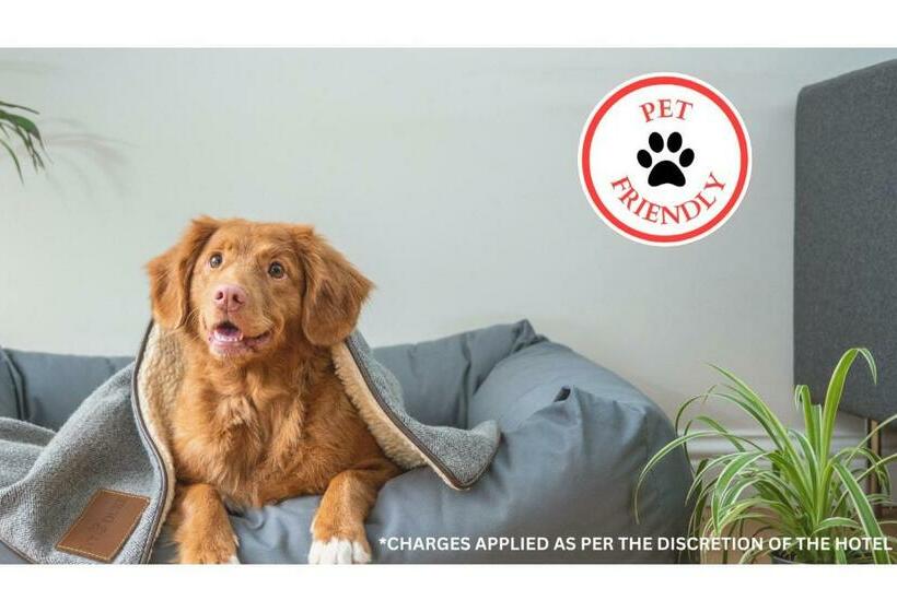 Love Hotels St John River At Fort Kent Me