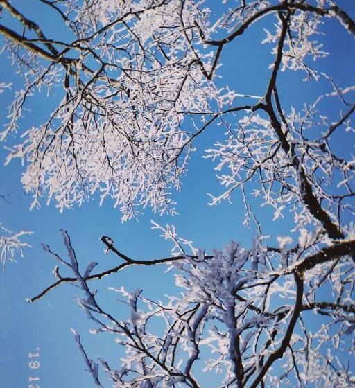 Kunlun International Youth Hostel