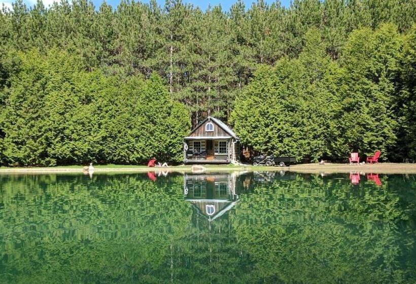 פנסיון A Rustic Cabin In The Woods