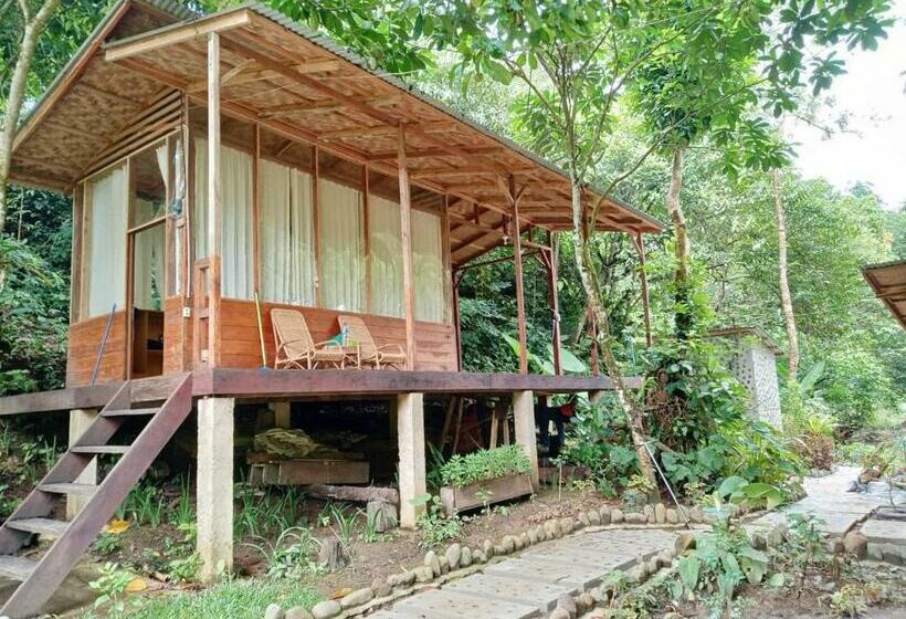 ペンション Bua Guesthouse Tangkahan
