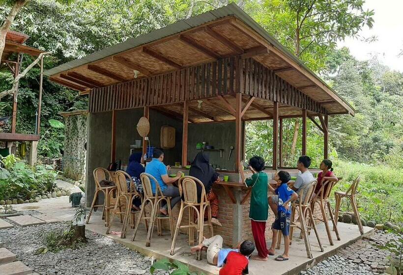 ペンション Bua Guesthouse Tangkahan