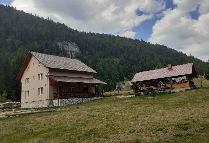 Пансион Cabana Colț De Rai