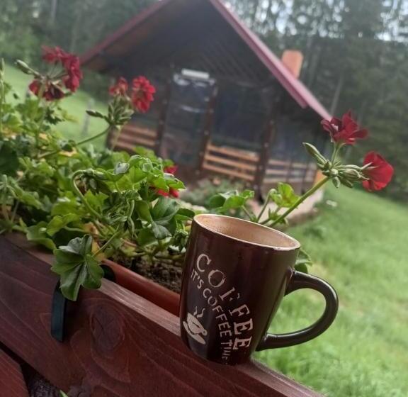 Пансион Cabana Colț De Rai