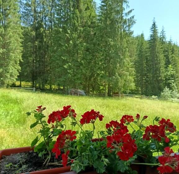 Пансион Cabana Colț De Rai