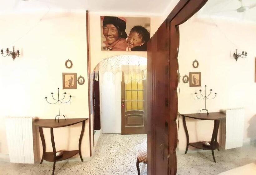 膳宿费 Campanino68