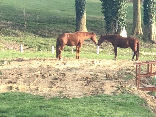 Пансион Château De Monhoudou