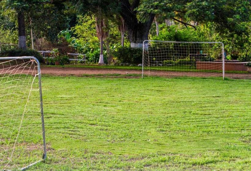 Пансион Finca Pamel