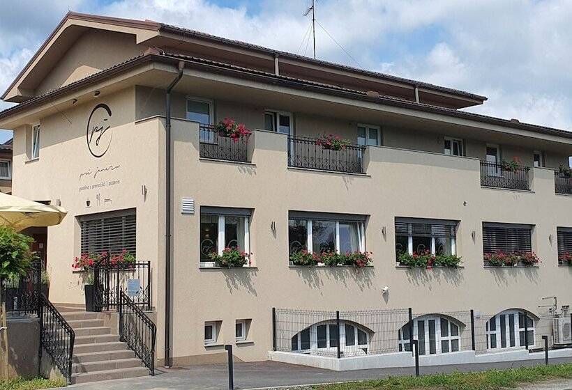 پانسیون Gostilna S Prenočišči Pri Janezu