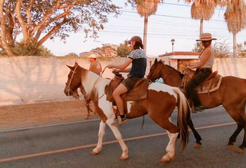 膳宿费 Hostal Villa Mercedes