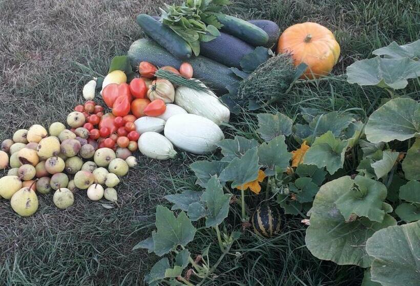 ペンション Le Perche Céronnais