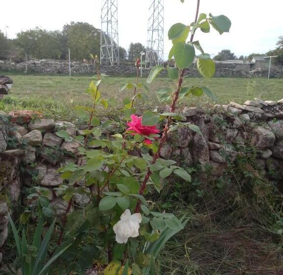 Pensión O Corazón Da Ribeira Sacra