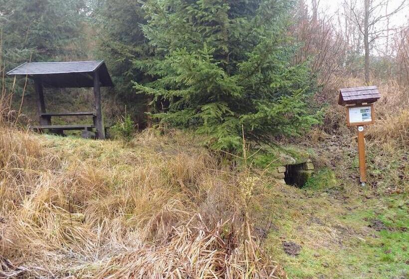 بنسيون Bořikovský Dvůr