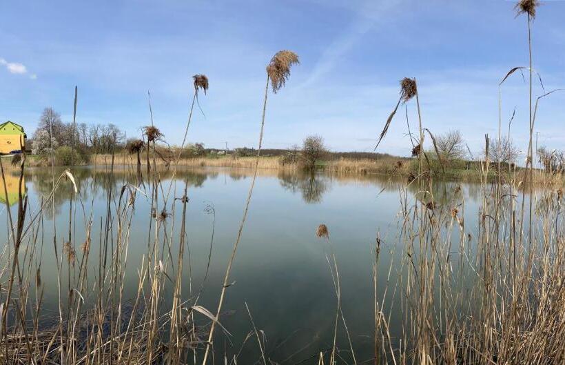 بنسيون Bořikovský Dvůr