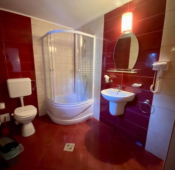 膳宿费 Regina Munților