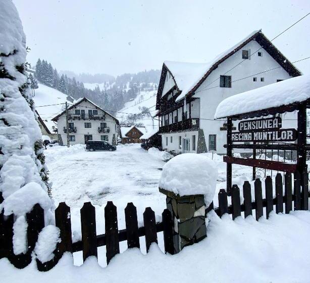 膳宿费 Regina Munților