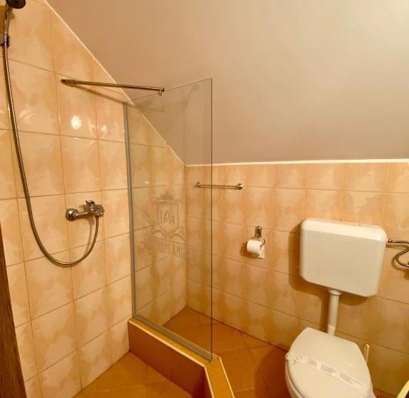 膳宿费 Regina Munților