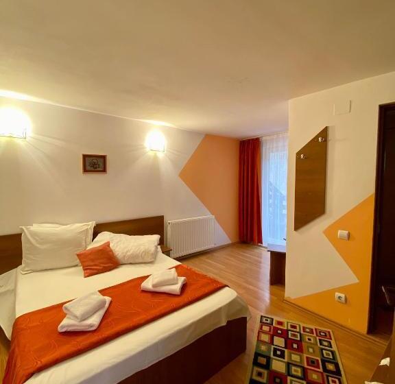 膳宿费 Regina Munților