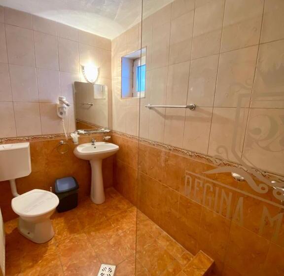 膳宿费 Regina Munților