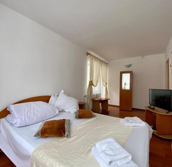 膳宿费 Regina Munților