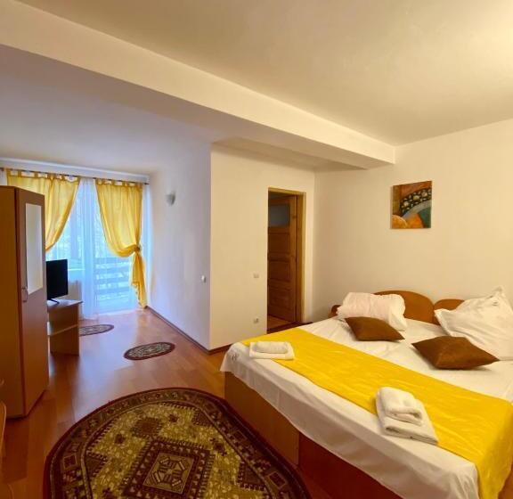 膳宿费 Regina Munților