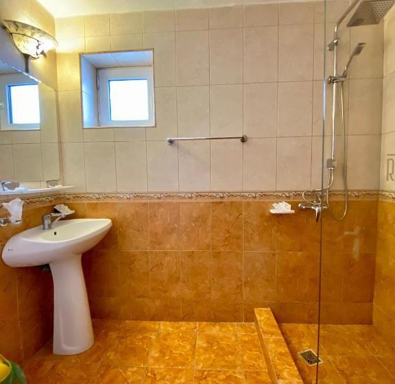 膳宿费 Regina Munților