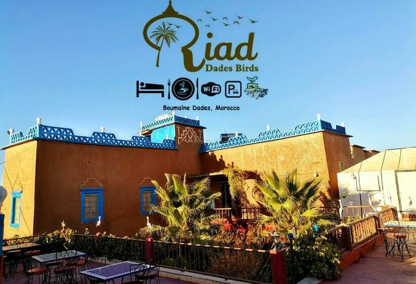 ペンション Riad Dades Birds