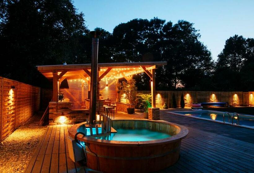 פנסיון Vila Casa Din Gradina