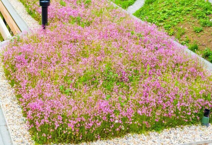 リゾートホテル Whispering Waters Teesdale Lodges