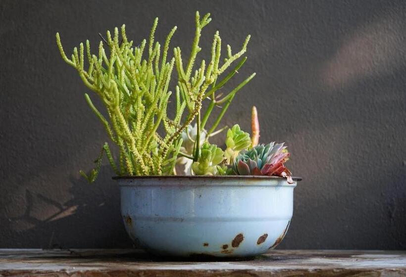 17onwellington Suites