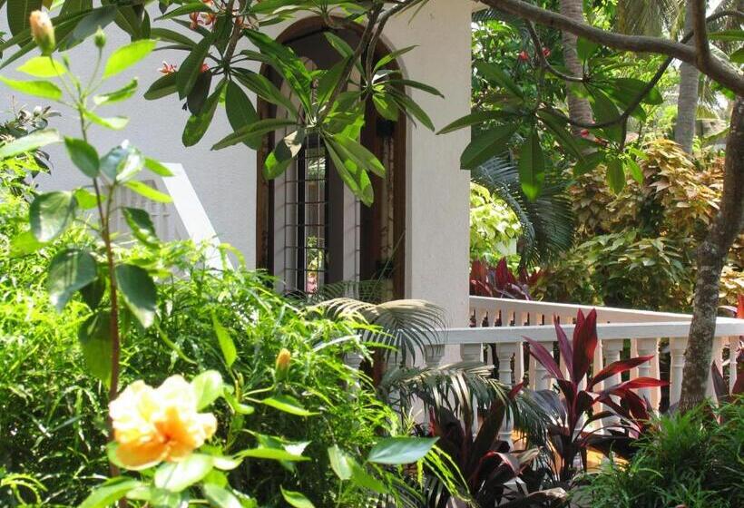민박 Albuquerque Betterhomes, Goa