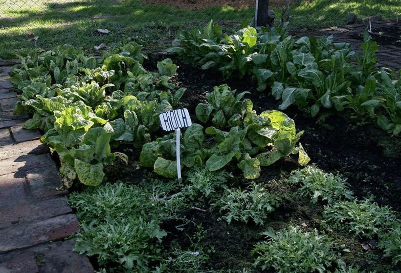 Bed and Breakfast Los Eucaliptus