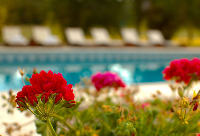 Bed and Breakfast Los Eucaliptus