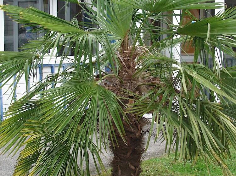 Budget Hotel Melun Sud   Dammarie Les Lys