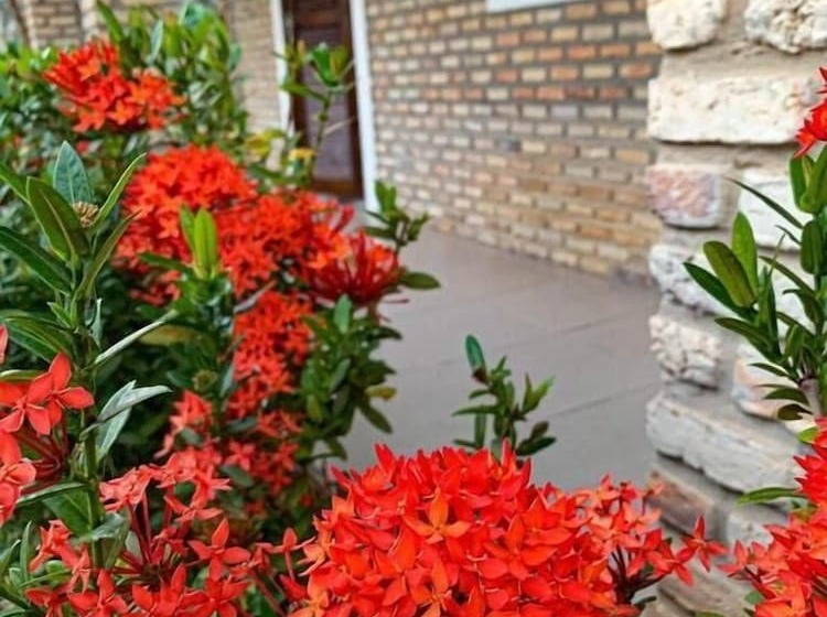 Porto Do Sol   Chalé 07