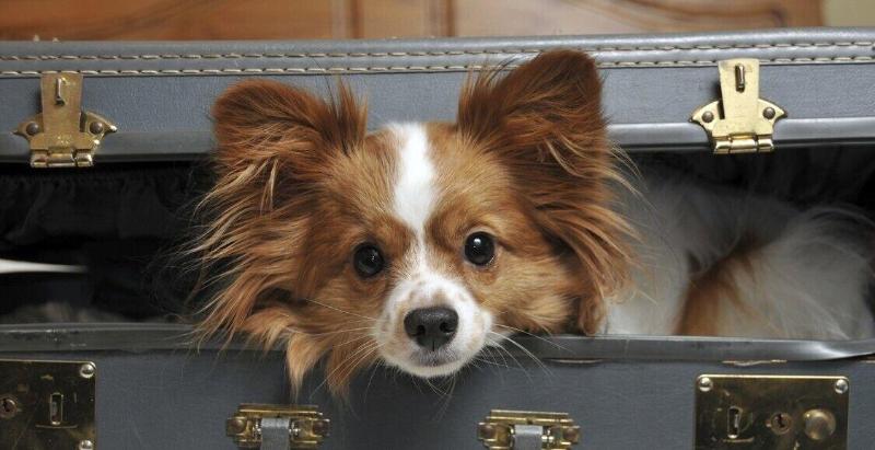 Ei8ht Brighton Guest Accommodation