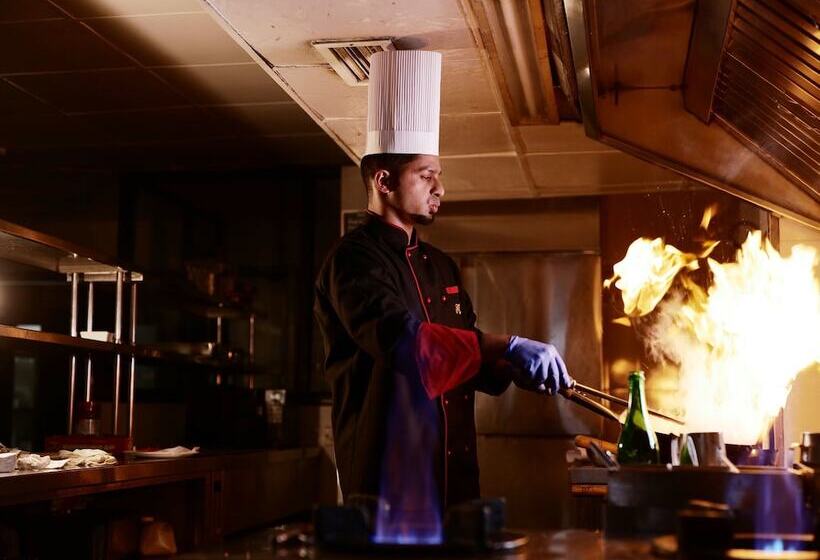 酒店 Afrad International