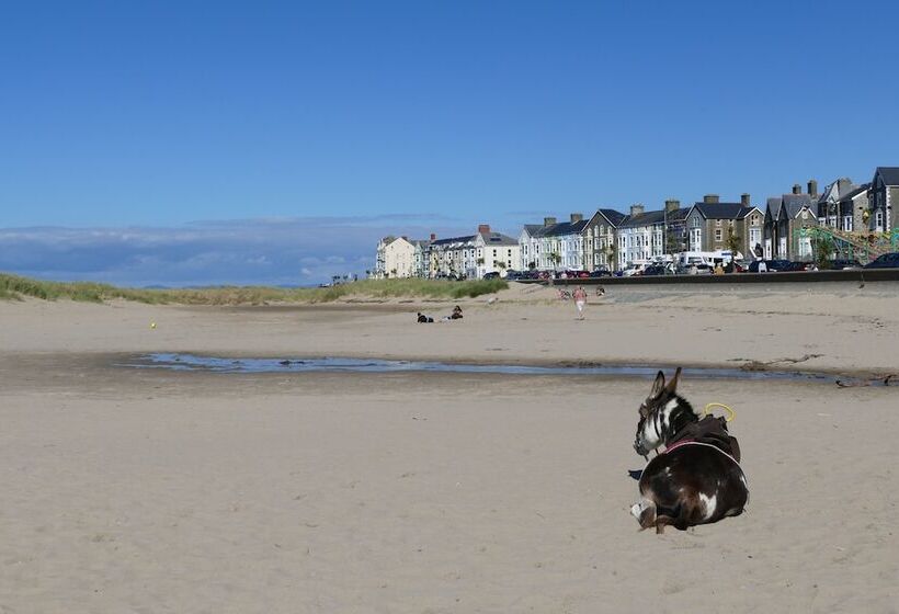 Отель Bae Abermaw Boutique B&b