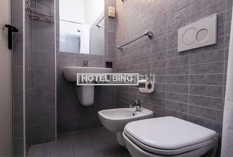 בית מלון כפרי Bing