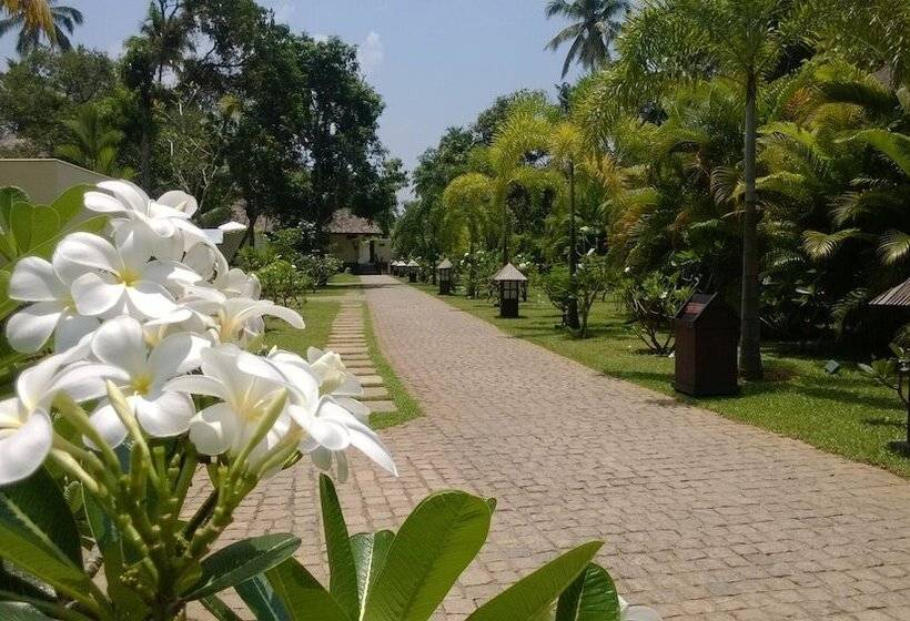 호텔 Carnoustie Beach Resort & Ayurveda Spa